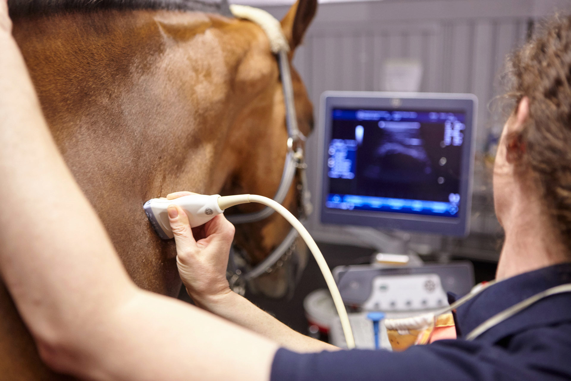 Teaserbild Tierärztliche Klinik Gessertshausen Altano GmbH