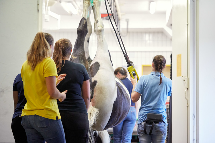 Tierärztliche Klinik Gessertshausen Altano GmbH - unsere Vision